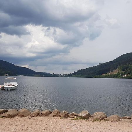 Gerardmer La Villa De Corcieux Exterior foto