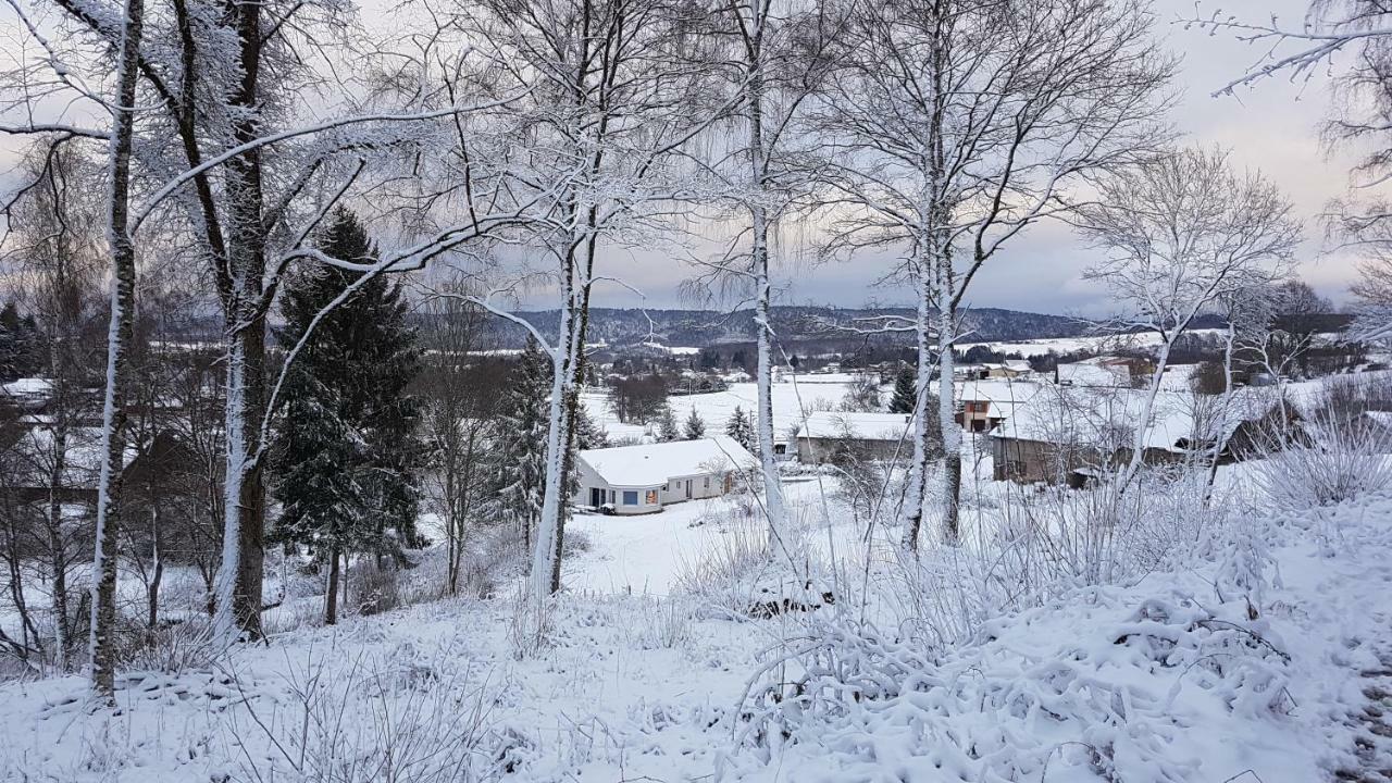 Gerardmer La Villa De Corcieux Exterior foto